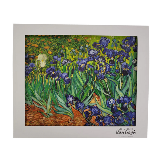 Field with Irises Matted Print 8x10