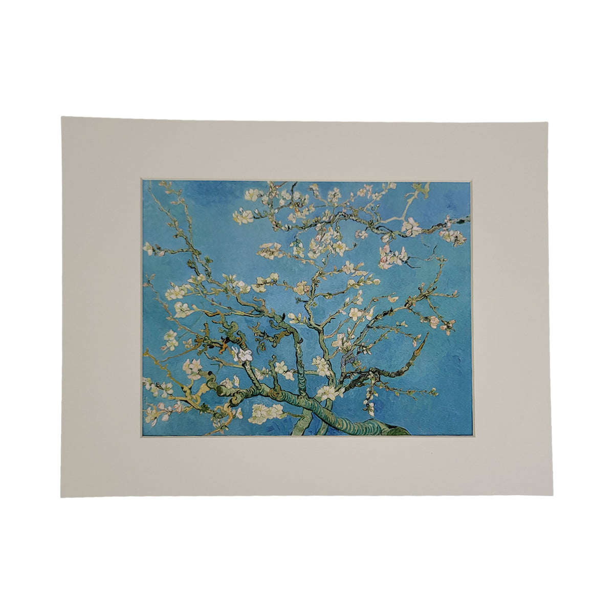 Almond Blossoms Framed Photo