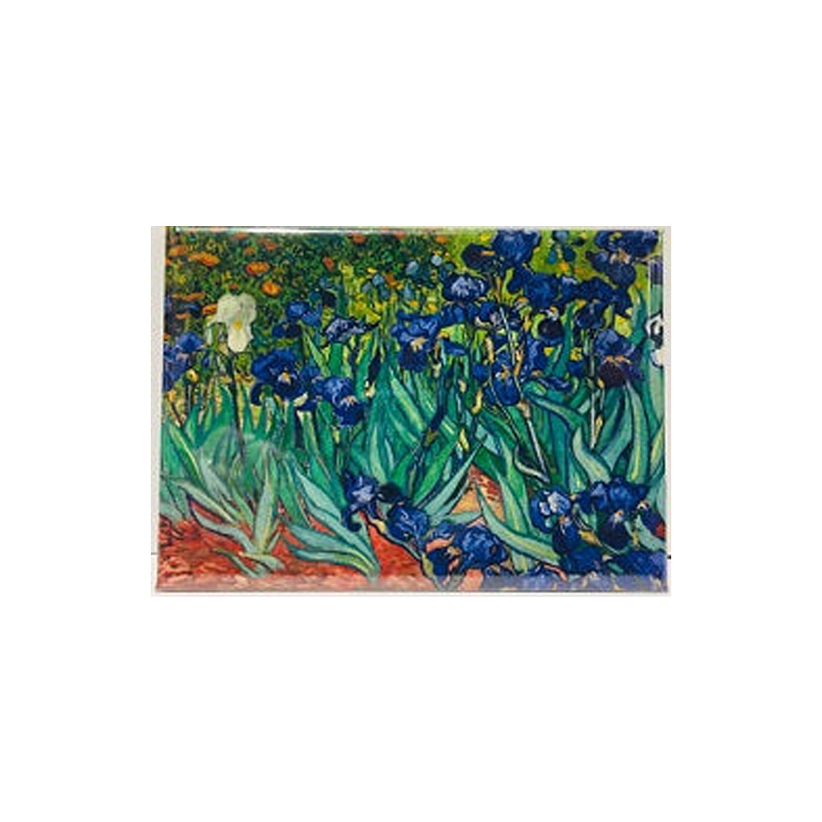 Irises Acrylic Magnet