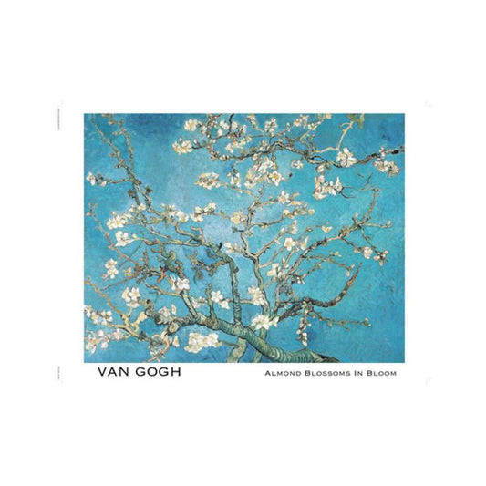 Almond Blossoms Poster