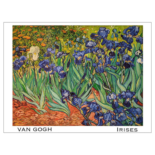 Irises Poster